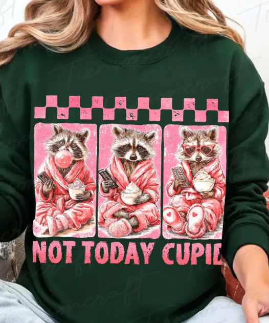 Not Today Cupid DTF Transfer | Funny Valentine Raccoon Pajama Design | Heat Press Ready